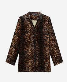 , LEOPARD, hi-res image number null