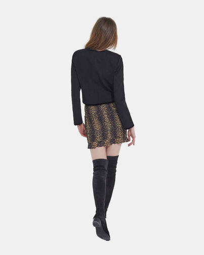 , LEOPARD, hi-res image number null
