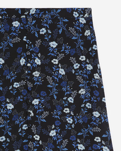 , BLUE, hi-res image number null