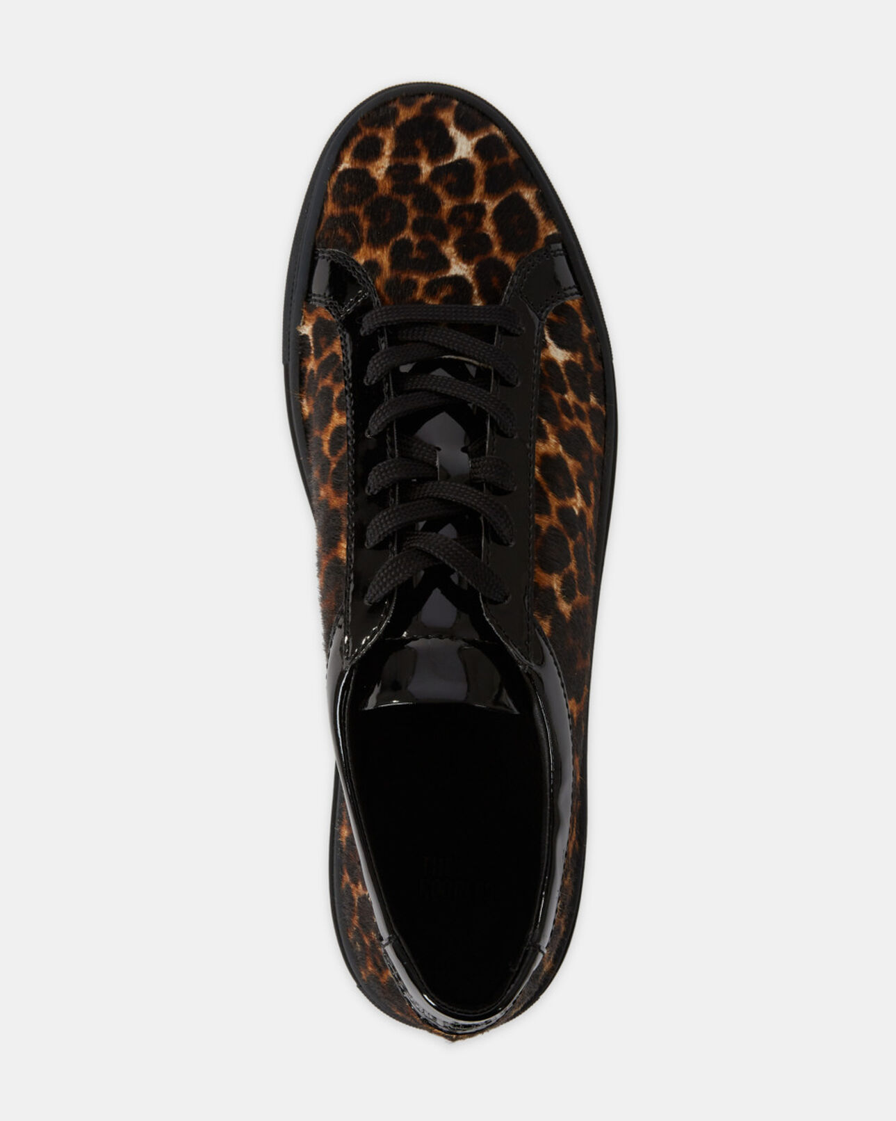 The Kooples MEN LEOPARD leopard print sneakers