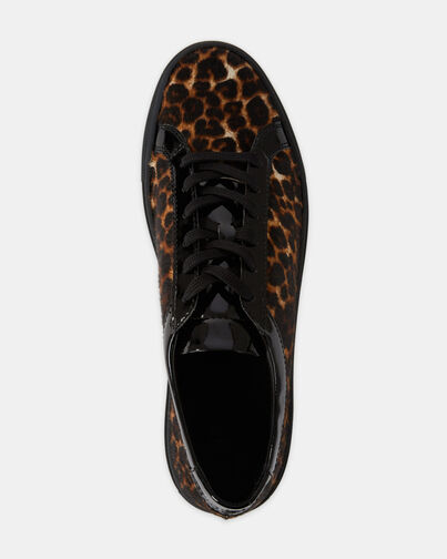 , LEOPARD, hi-res image number null