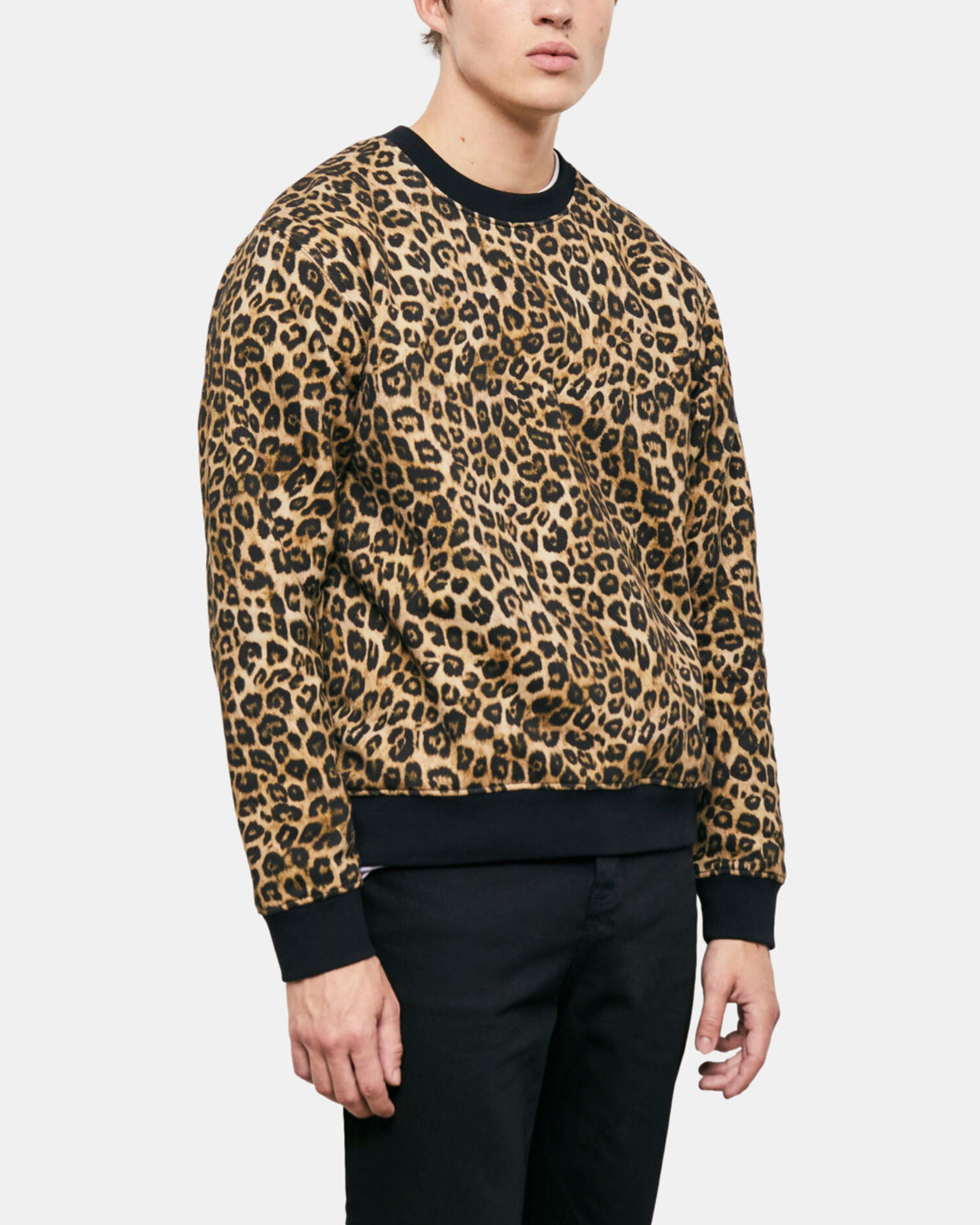 , LEOPARD, hi-res image number null