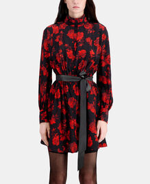 , BLACK - RED, hi-res image number null