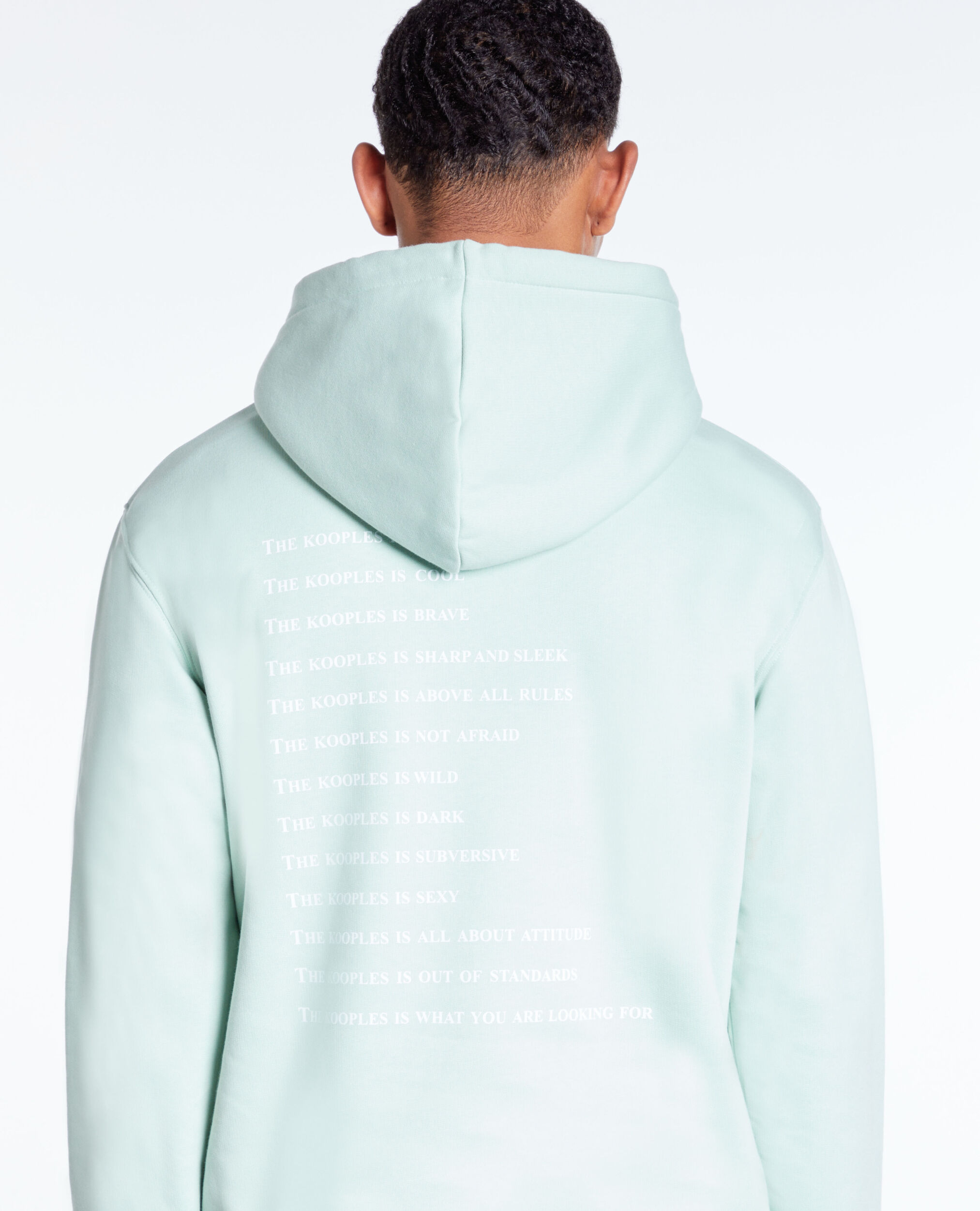 Sweatshirt à capuche What is vert, OCEAN, hi-res image number null