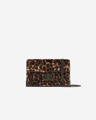 , LEOPARD, hi-res image number null