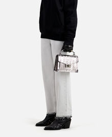 , ANTIC SILVER, hi-res image number null