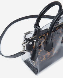 , LEOPARD, hi-res image number null