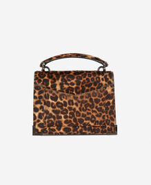 , LEOPARD, hi-res image number null