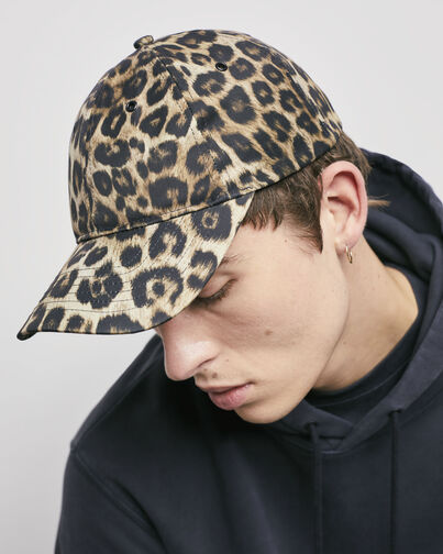 , LEOPARD, hi-res image number null