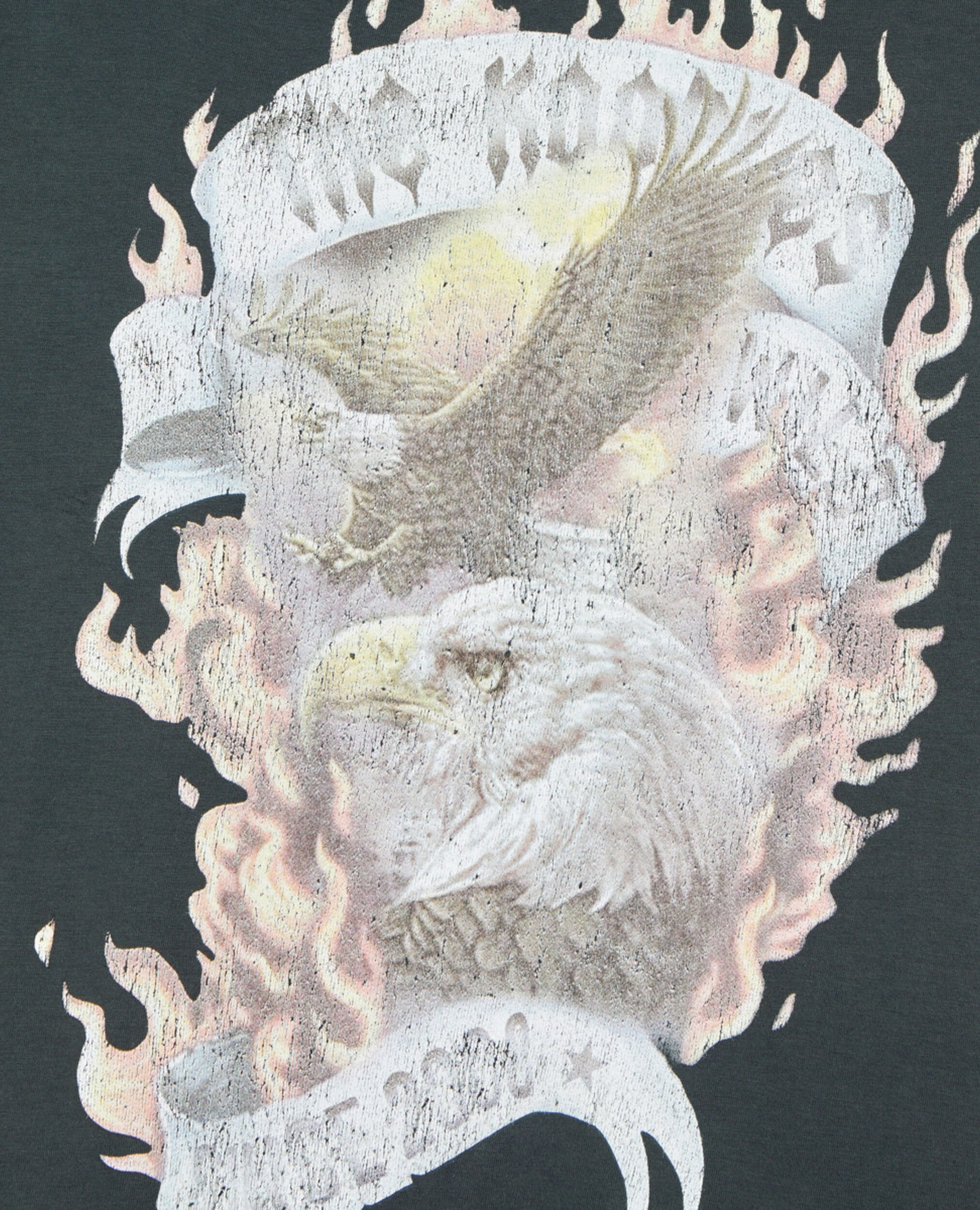Black Eagles on fire serigraphy t-shirt, BLACK WASHED, hi-res image number null
