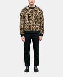 , LEOPARD, hi-res image number null