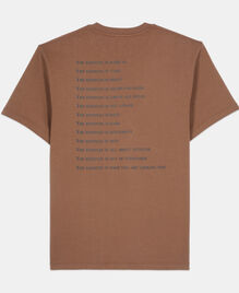 , BROWN, hi-res image number null