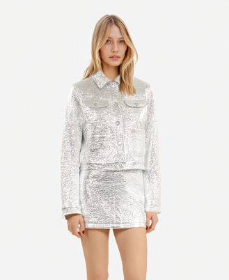 , SILVER, hi-res image number null