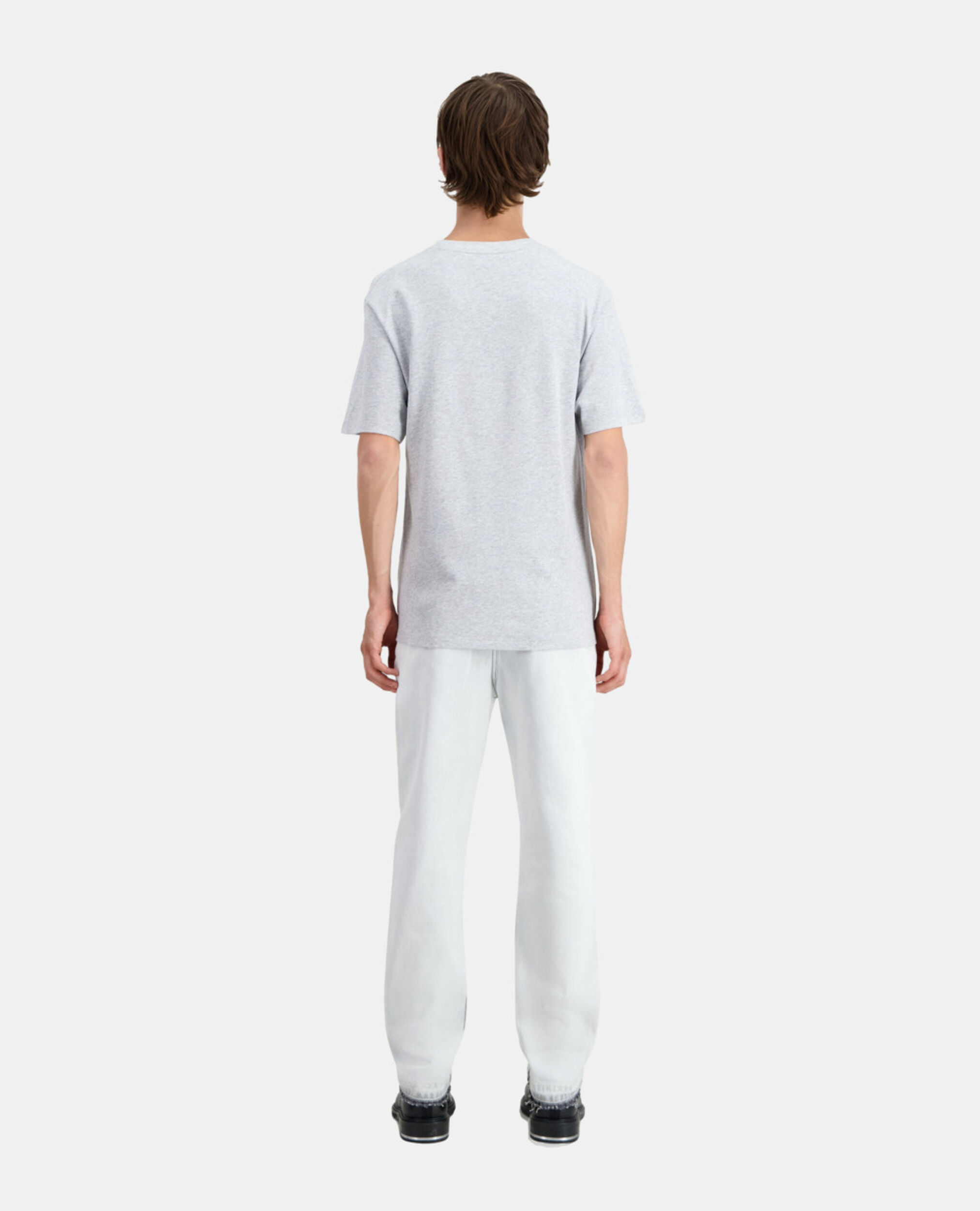 Men's grey t-shirt with flower embroidery, GRIS CLAIR, hi-res image number null
