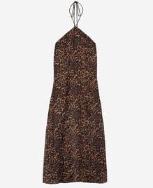 , LEOPARD, hi-res image number null