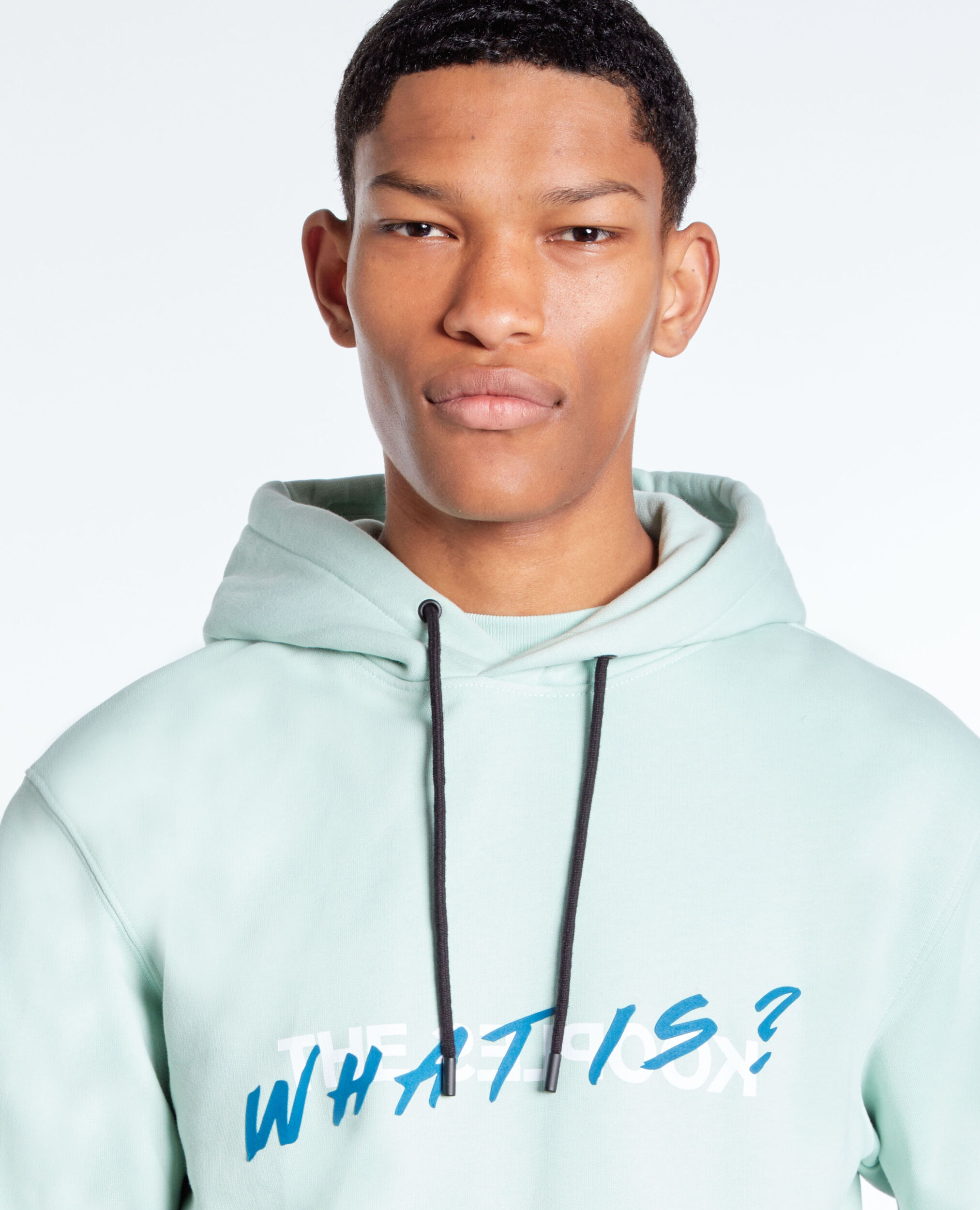 Sweatshirt à capuche What is vert, OCEAN, hi-res image number null
