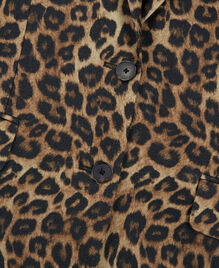 , LEOPARD, hi-res image number null