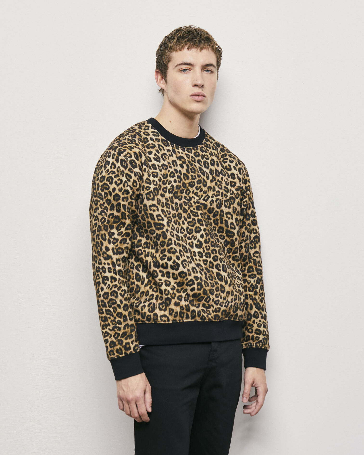 , LEOPARD, hi-res image number null