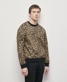 , LEOPARD, hi-res image number null