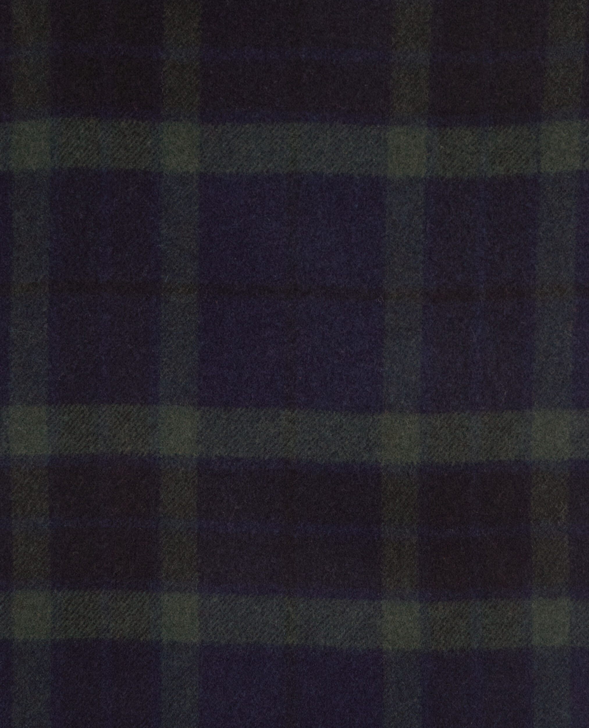 , GREEN NAVY, hi-res image number null