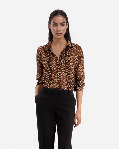 , LEOPARD, hi-res image number null