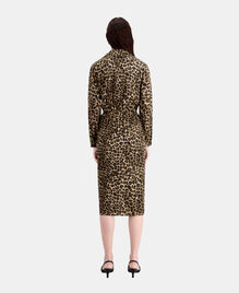 , LEOPARD, hi-res image number null