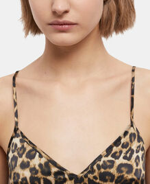 , LEOPARD, hi-res image number null