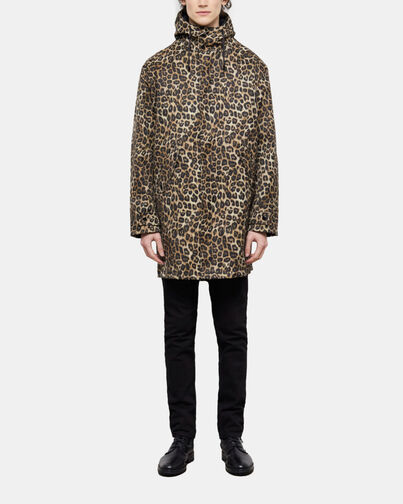 , LEOPARD, hi-res image number null
