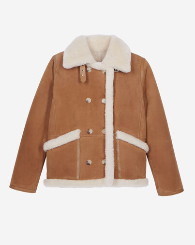 , BROWN-BEIGE, hi-res image number null