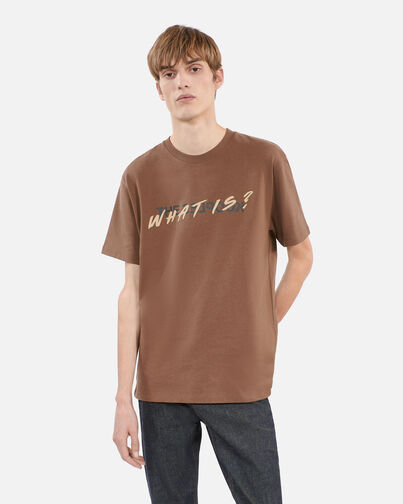 , BROWN, hi-res image number null