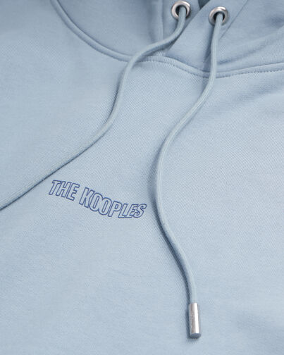 , BLUE GREY, hi-res image number null