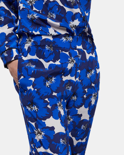 , BLUE, hi-res image number null