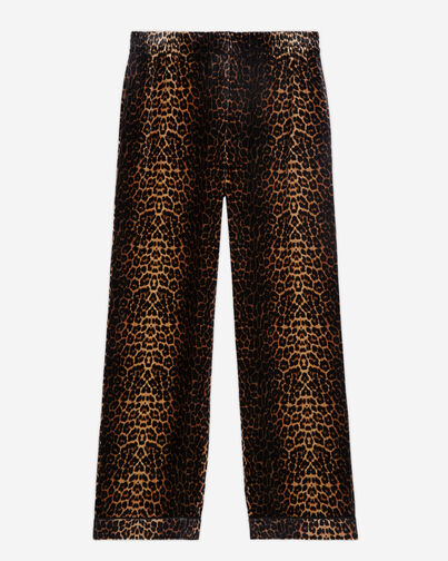 , LEOPARD, hi-res image number null