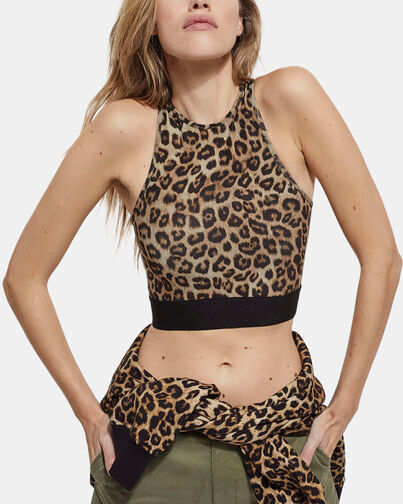 , LEOPARD, hi-res image number null
