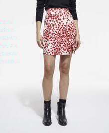 , RED / WHITE, hi-res image number null