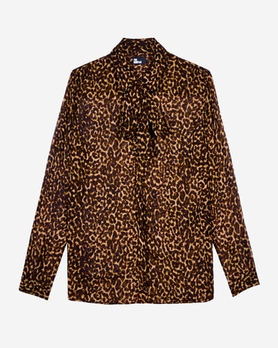 , LEOPARD, hi-res image number null