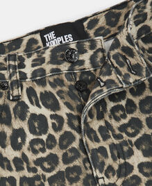 , LEOPARD, hi-res image number null
