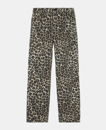 , LEOPARD, hi-res image number null