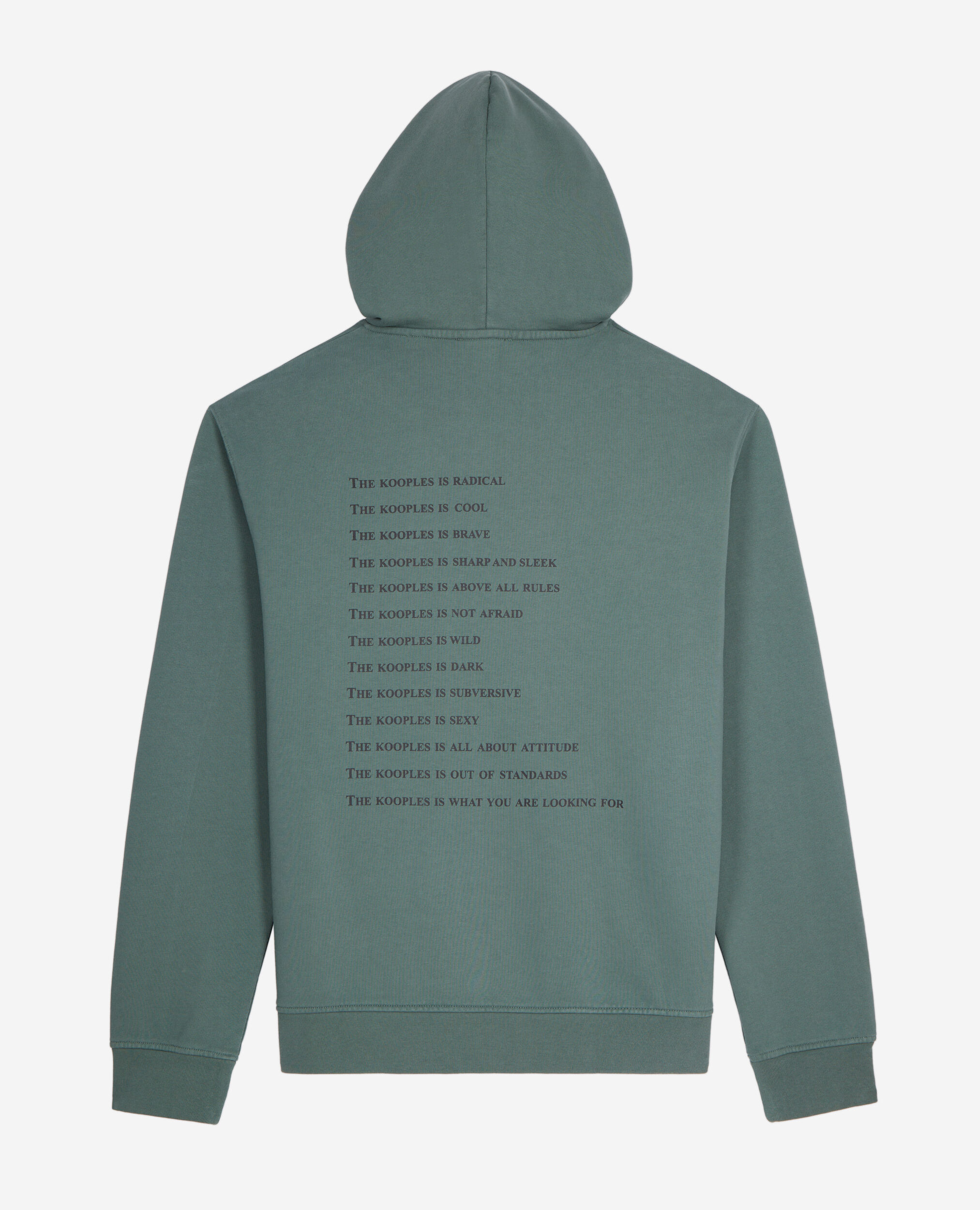 Sudadera capucha What is verde, FOREST, hi-res image number null