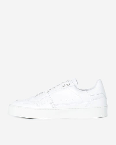 , WHITE, hi-res image number null