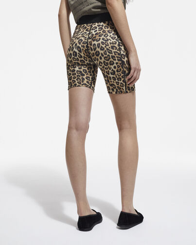 , LEOPARD, hi-res image number null