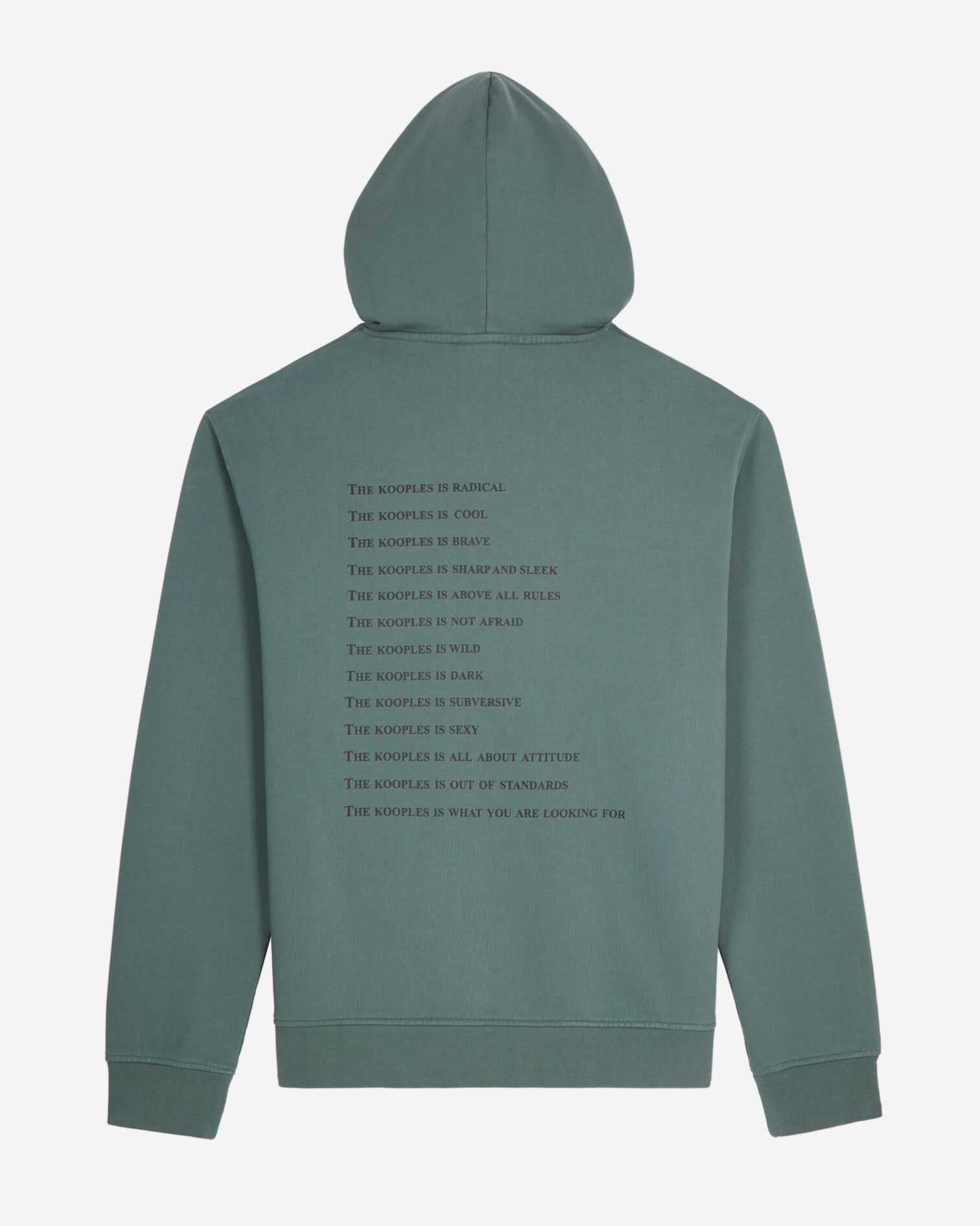 Sweatshirt à capuche What is vert, FOREST, hi-res image number null