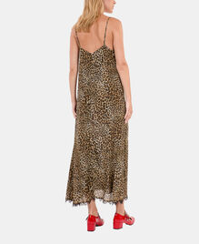 , LEOPARD, hi-res image number null