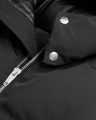 , BLACK, hi-res image number null