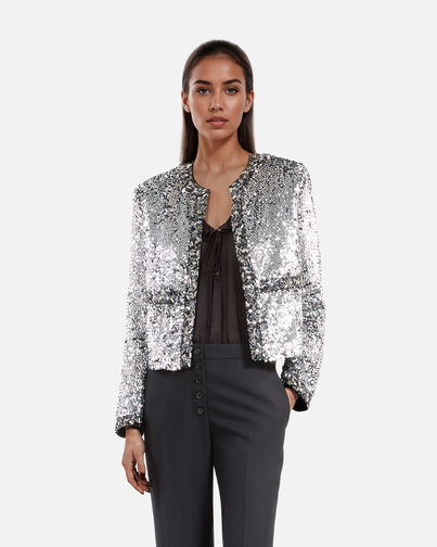 , SILVER, hi-res image number null