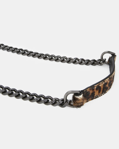 , LEOPARD, hi-res image number null