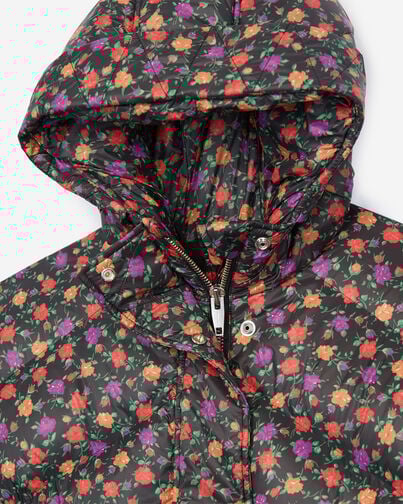 , MULTICOLOR, hi-res image number null