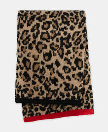, LEOPARD, hi-res image number null