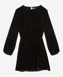, BLACK, hi-res image number null