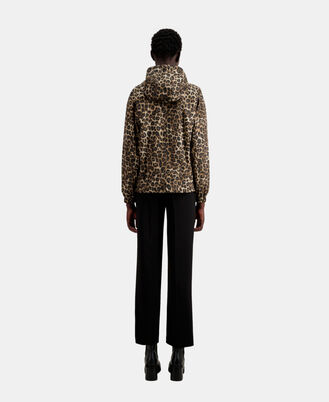 , LEOPARD, hi-res image number null